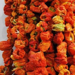 Gaziantep tatlı dolmalık biber kurusu