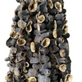 Gaziantep gün kurusu Patlıcan