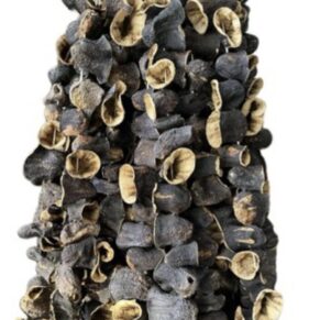 Gaziantep gün kurusu Patlıcan